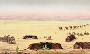 私たちの砂漠のキャンプ（色の彫刻）